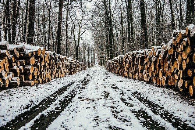 Skogsmaskiner i Sverige